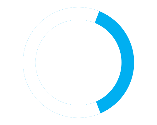 63%